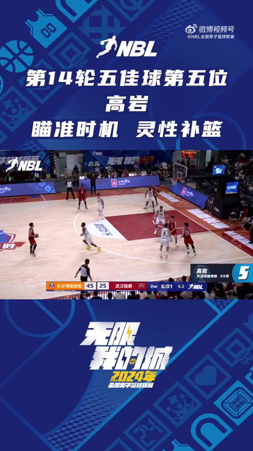 国内篮球职业联赛突然崛起，备受赞誉的简单介绍