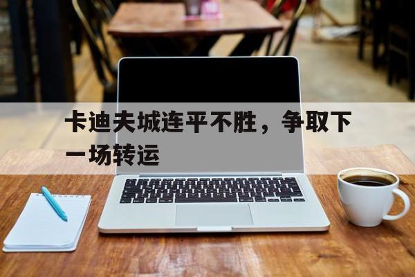 爱游戏入口-卡迪夫城连平不胜，争取下一场转运